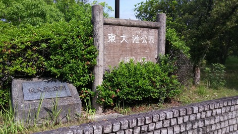 20170603_091141