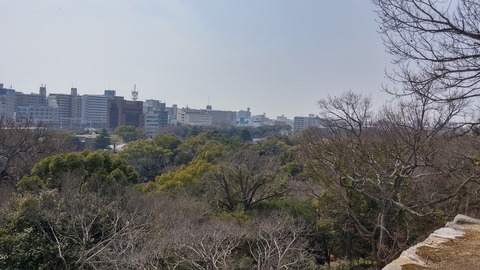 20170330_130437_HDR