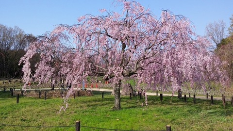 20150331_081616