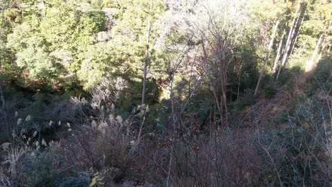 20170106_123108