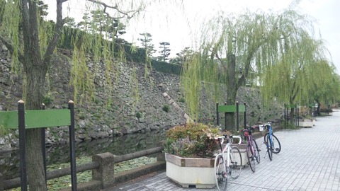 岸和田城+1