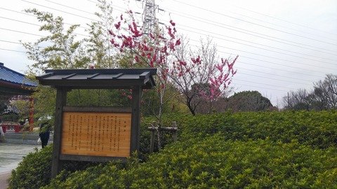 KIMG2532 (1)