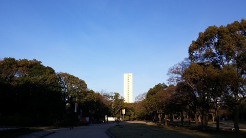 20170222_071928