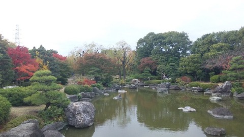 １１月１８日 (9)