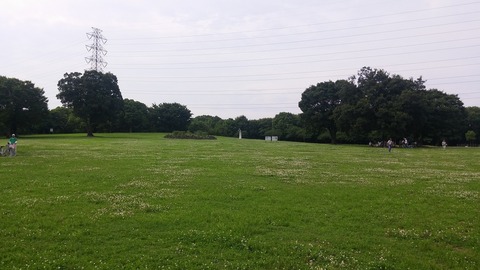 20170704_082221