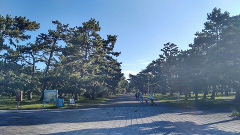 KIMG9002