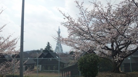PAP_0026