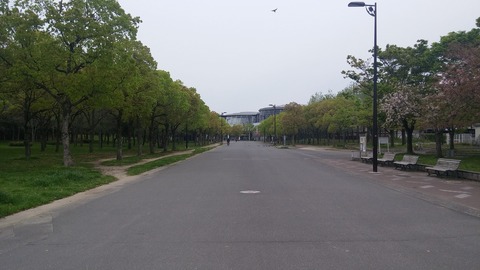 20170420_115524
