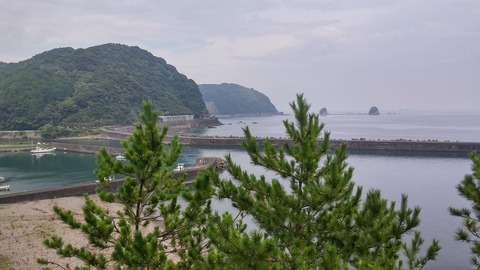 20170815_141217_HDR
