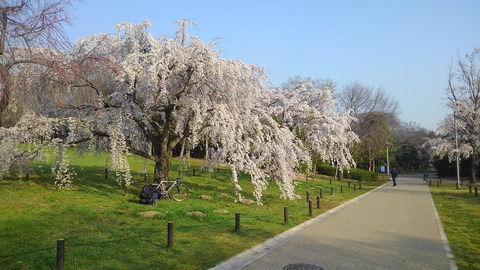 KIMG0872