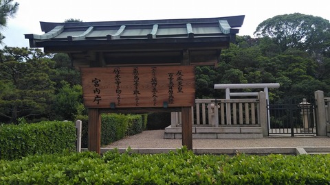 KIMG8567