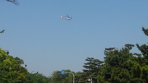 KIMG1244