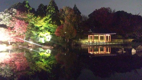 １１月２３日