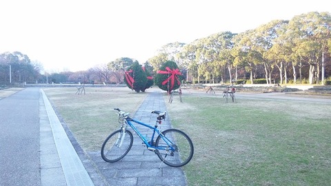 12月１０日 (6)