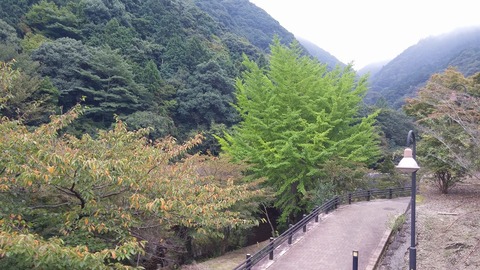 20171012_113212
