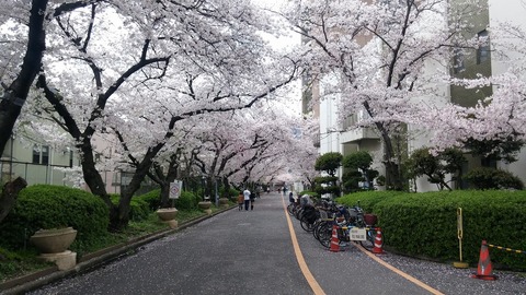 20170409_123245