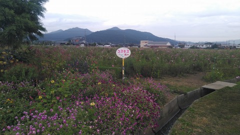 KIMG9921