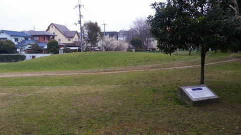 20170306_080029