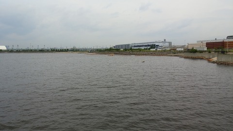 20170717_113814