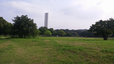 20170810_080900
