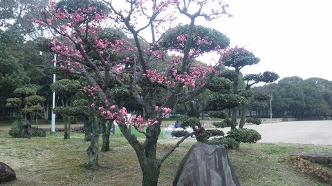 コピー ～ ３月１９日 (1)