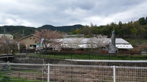 20170418_110523