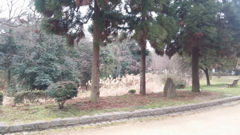20170306_080643