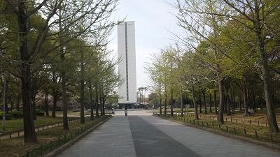 大仙公園　桜１