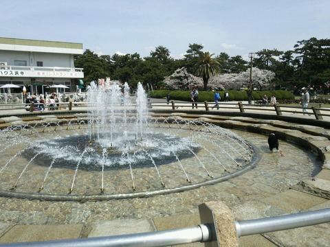４月３日　浜寺 (4)