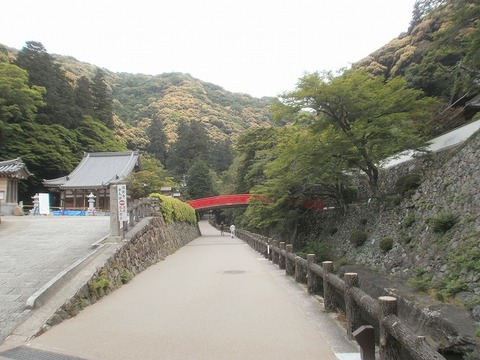 P5200019