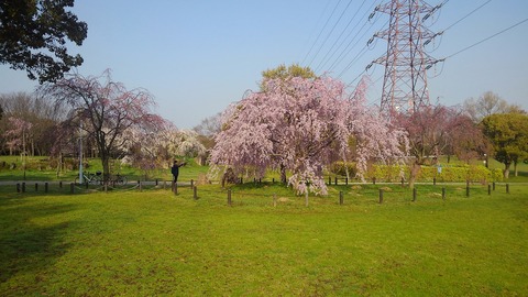 KIMG0873