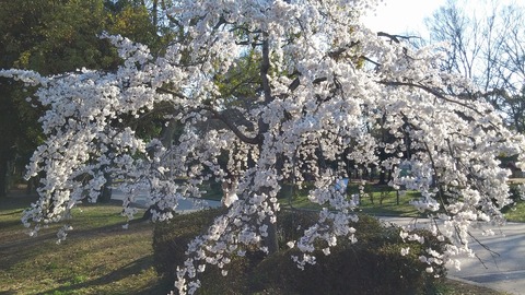 20170403_075129