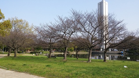 ３月２２日 (9)