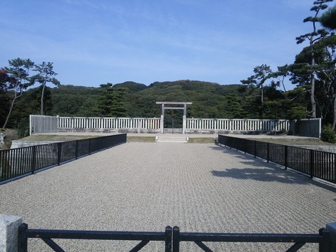 １１月２４日 (1)