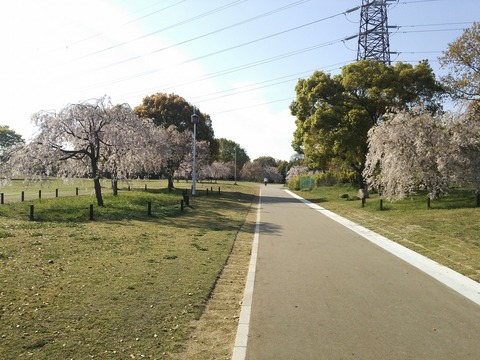 ４月１５日 (13)