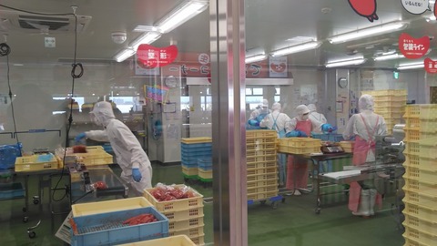 KIMG7678