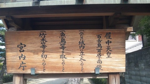 履中天皇百舌鳥耳原南陵 (3)