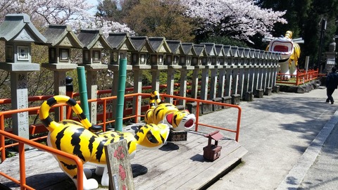 20170413_124538
