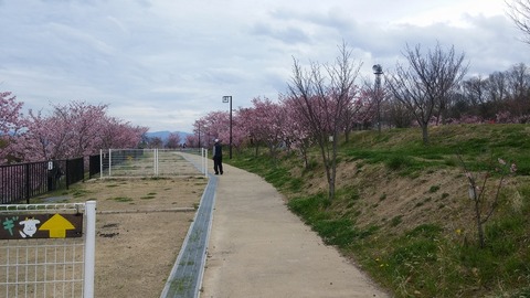 20170406_150238