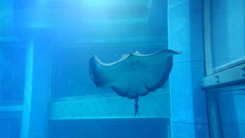 KIMG0152