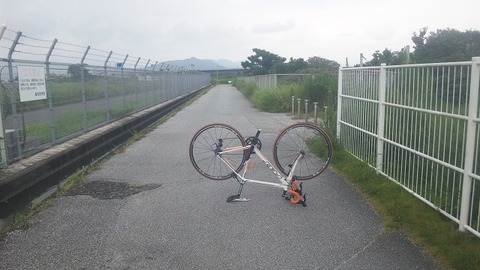 8月12日 (4)