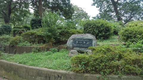 KIMG1776