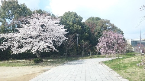 ４月８日 (19)
