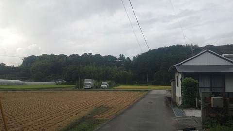 8月 (22)