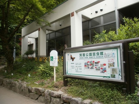 P5200016