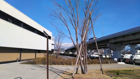 KIMG6778