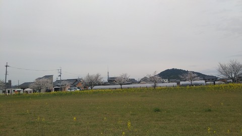 KIMG2741