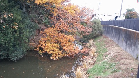 20171129_080550
