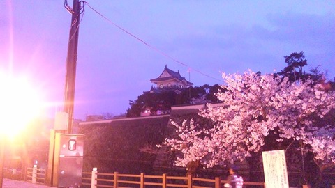 PAP_0021
