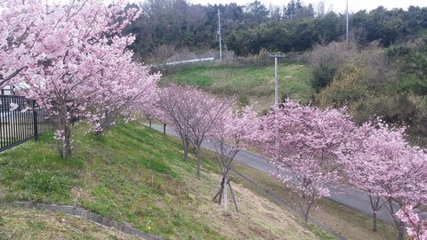 20170406_150319